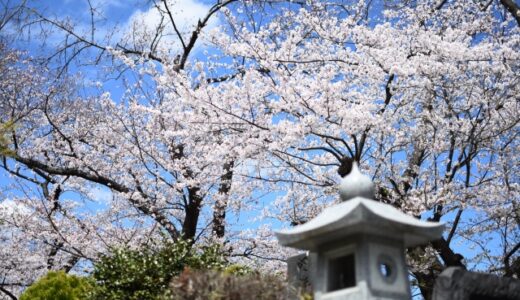 寿陵（生前墓）を建てるメリット・デメリット＆2つの注意点を解説