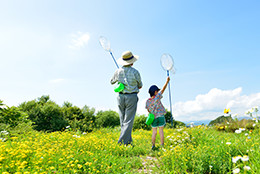 生命保険料控除を受けることにより、相続税を節税